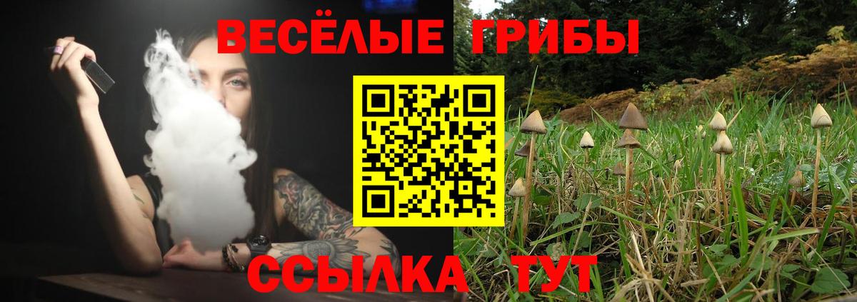 Псилоцибиновые грибы MAGIC MUSHROOMS Валуйки